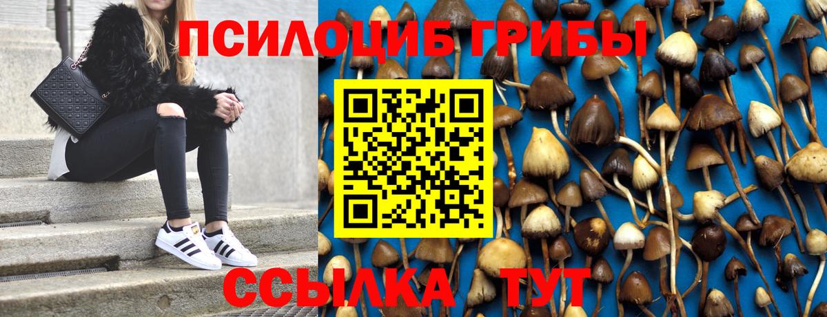 Псилоцибиновые грибы MAGIC MUSHROOMS Кохма