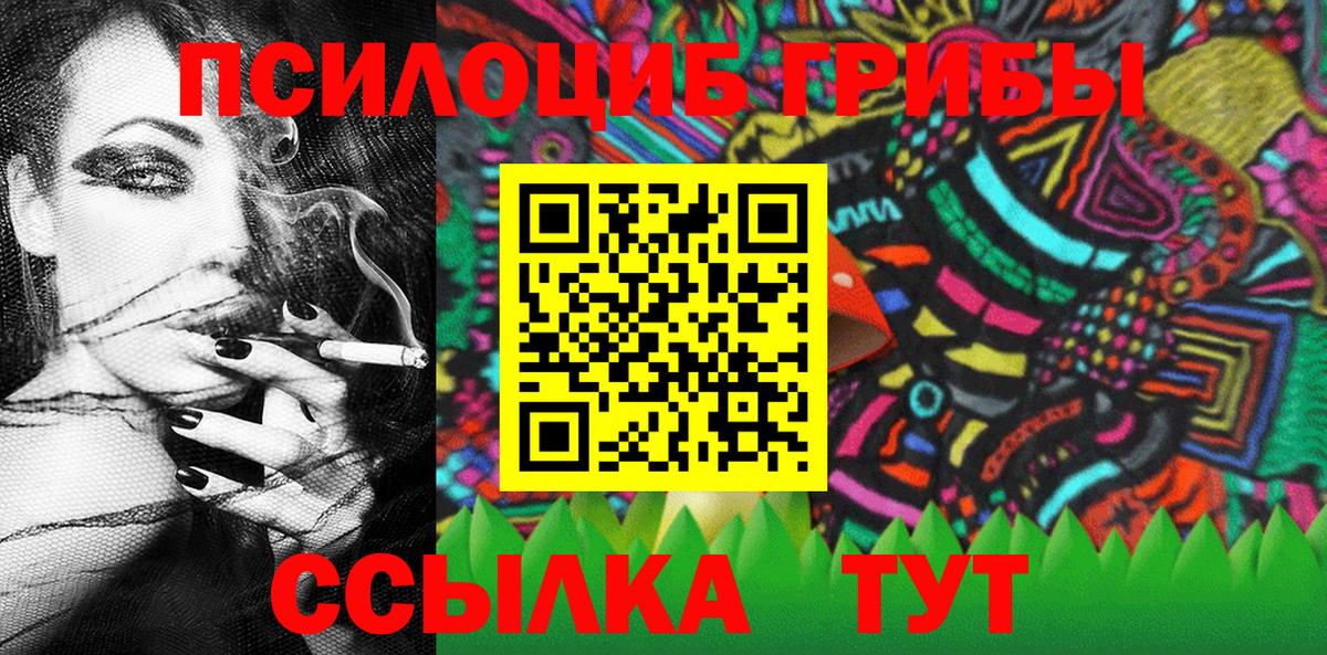 Кохма  Галлюциногенные грибы Psilocybine cubensis  Вход с VPN 